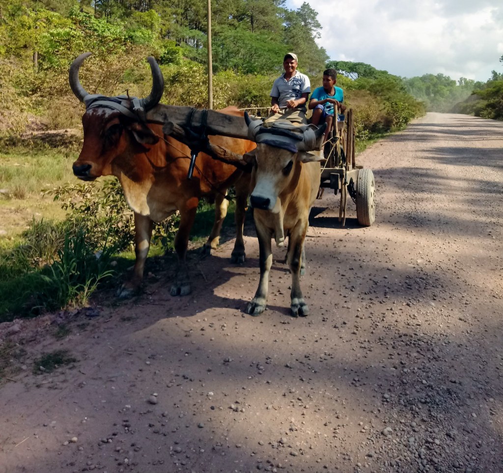 Who evangelized Saul of Tarsus?