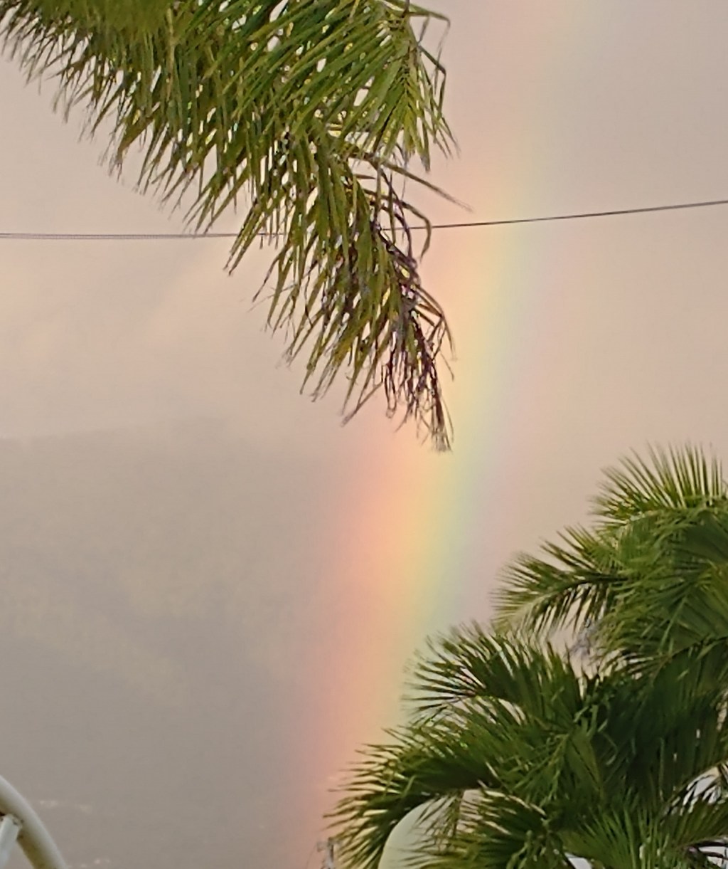 The faith as presented in the first epistle of the apostle Paul to Timothy…